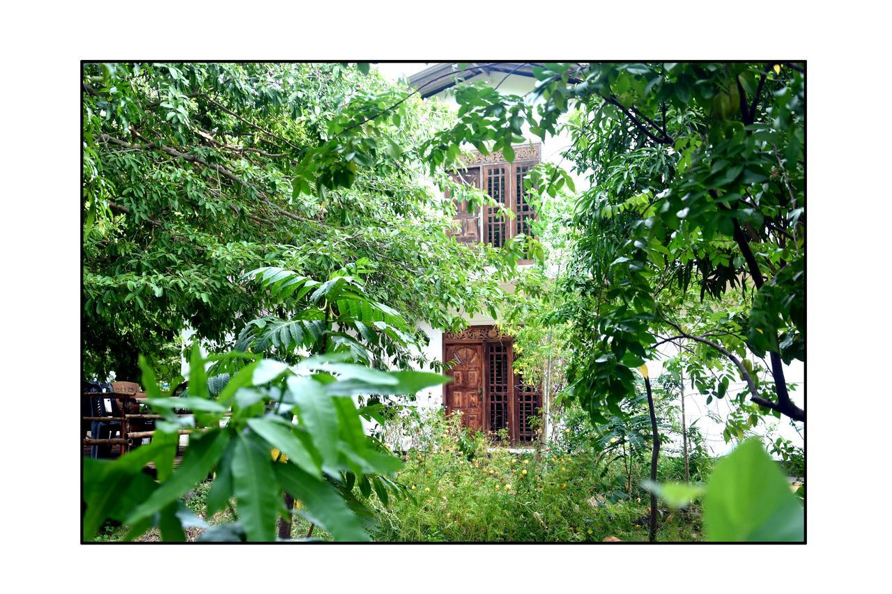 Sun And Green Eco Lodge - 담불라 외부 사진