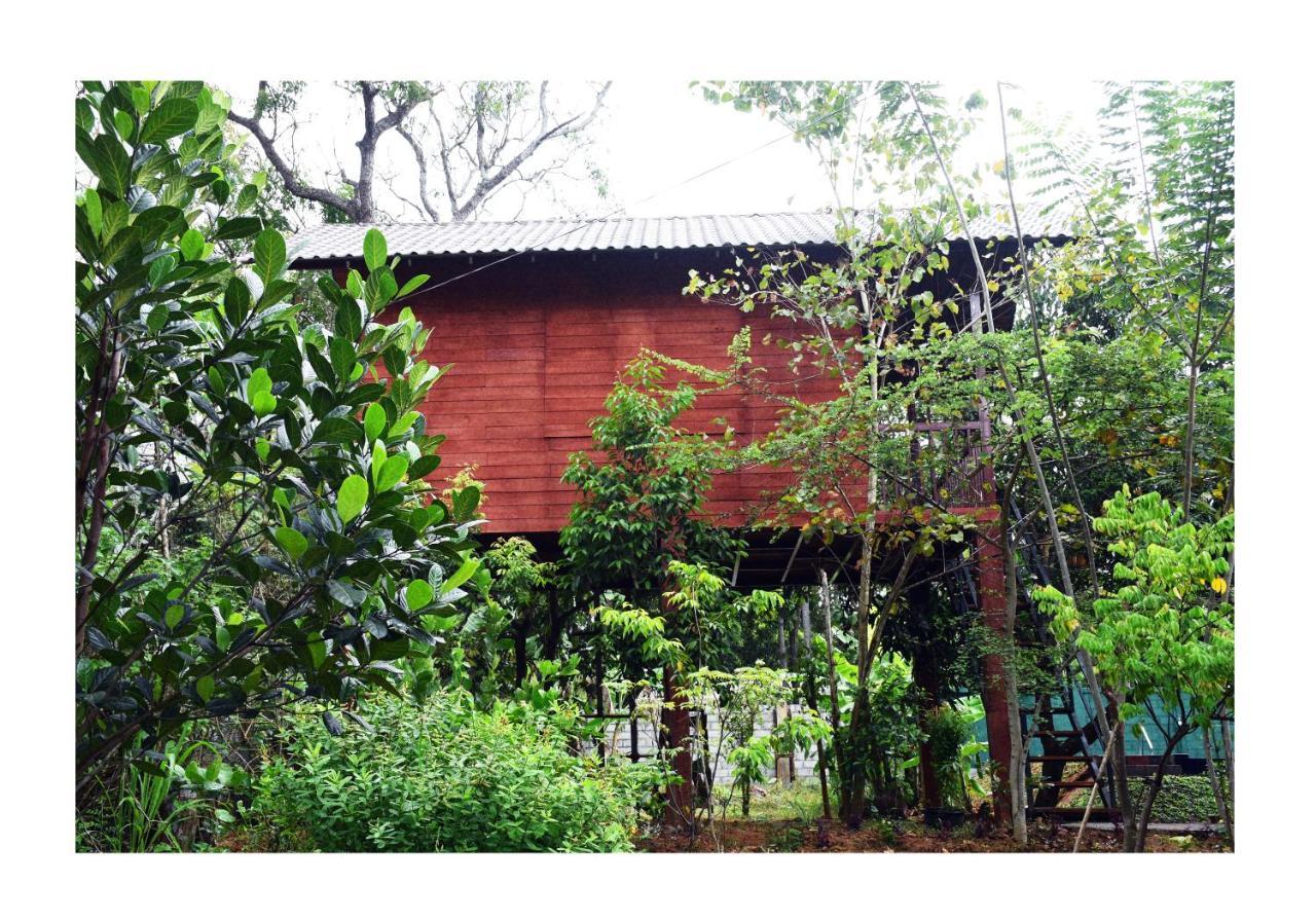 Sun And Green Eco Lodge - 담불라 외부 사진