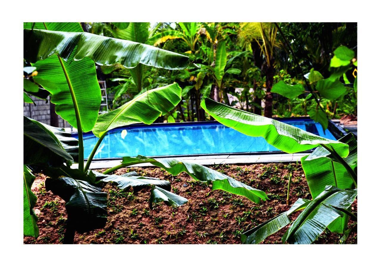 Sun And Green Eco Lodge - 담불라 외부 사진