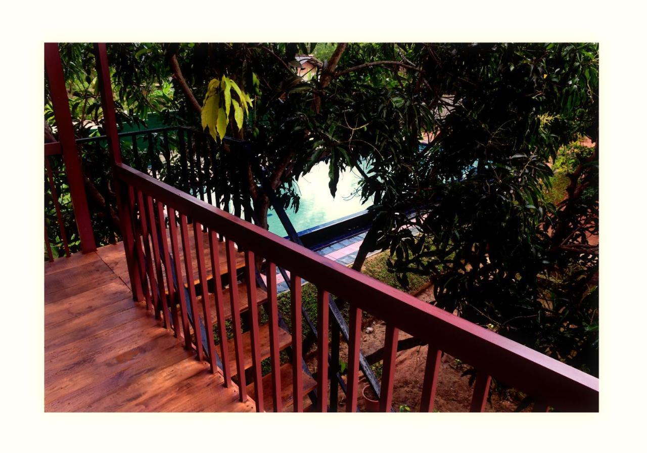 Sun And Green Eco Lodge - 담불라 외부 사진