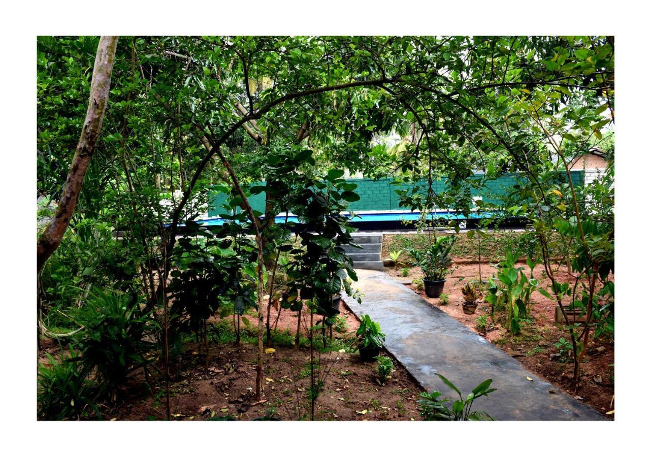 Sun And Green Eco Lodge - 담불라 외부 사진