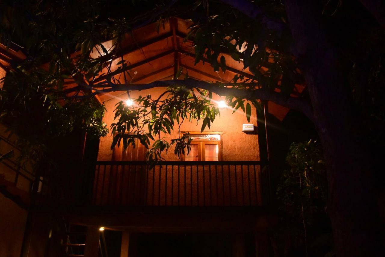 Sun And Green Eco Lodge - 담불라 외부 사진
