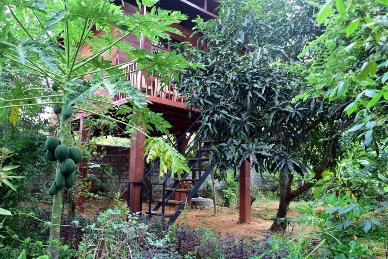 Sun And Green Eco Lodge - 담불라 외부 사진